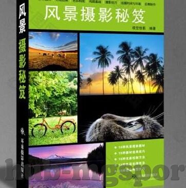 马明宇世界杯表现-马明宇，世界杯舞台上的中国之光