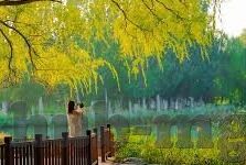 足球比分怎么记-足球比分记忆秘籍，从混乱到清晰的进阶指南